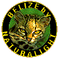 NPL Logo