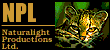 NPL Logo